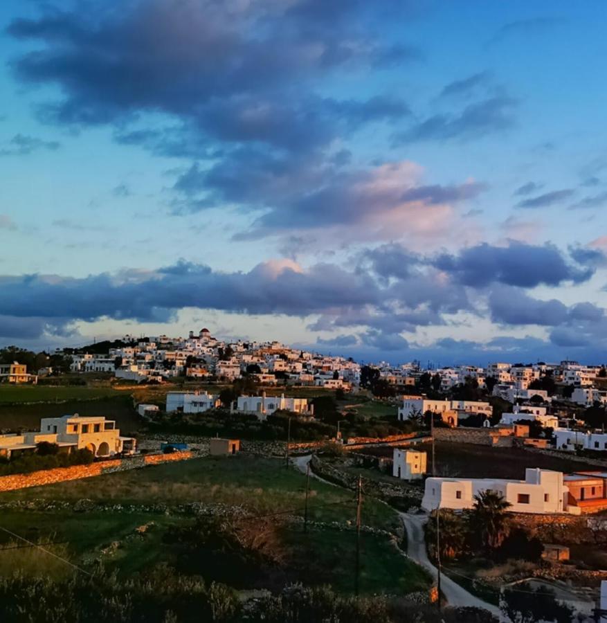 Amphitrite'S Haven - Cycladic House In Marpissa, Paros Villa ภายนอก รูปภาพ